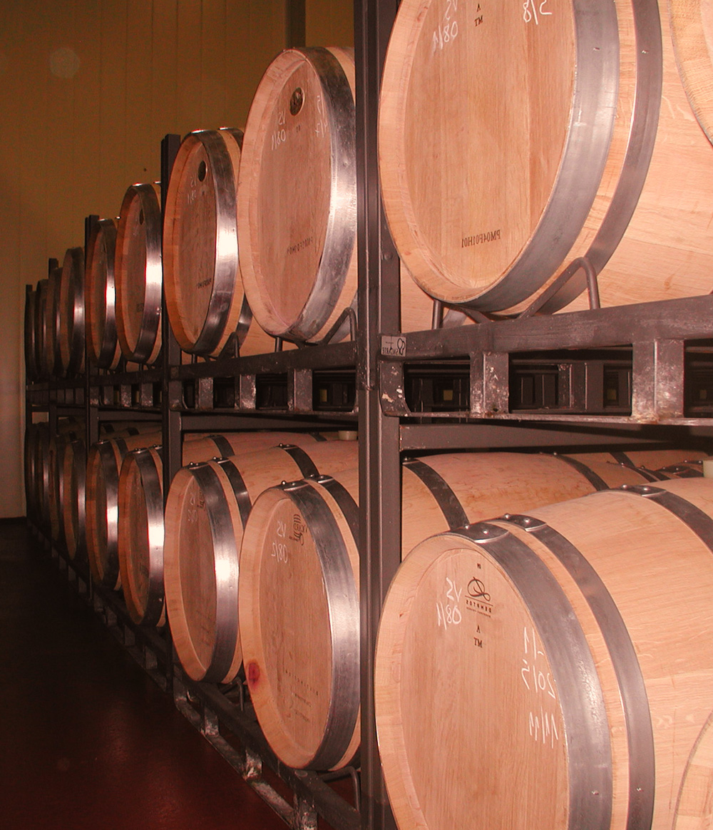 Barrel Cellar in Bodegas Pagos de Mogar